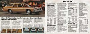 1976 Chevrolet Full Size (Cdn)-14-15.jpg